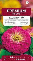 Zinnia Dahlia Flowered Illumination Seeds